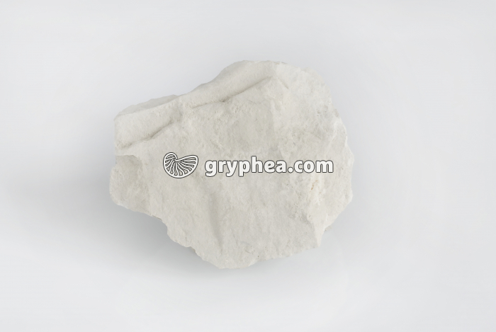 Craie - gryphea.org